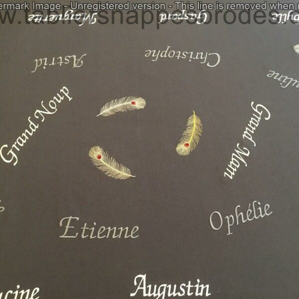 La délicatesse et la finesse du point de ces plumes brodées sur une nappe grise racontent une histoire au fil du tissu..